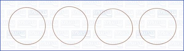 Ajusa 60002200 - Garnitura brtvi, kosuljica cilindra www.molydon.hr