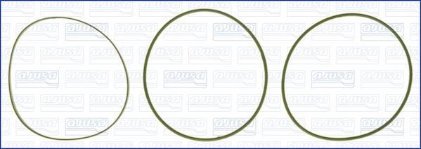 Ajusa 60007500 - Garnitura brtvi, kosuljica cilindra www.molydon.hr