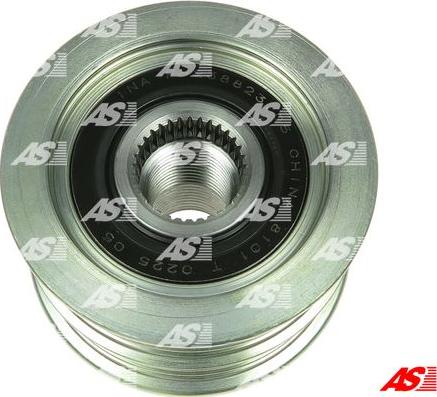 AS-PL AFP5031(INA) - Remenica, alternator www.molydon.hr