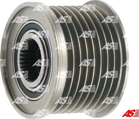 AS-PL AFP6038(V) - Remenica, alternator www.molydon.hr