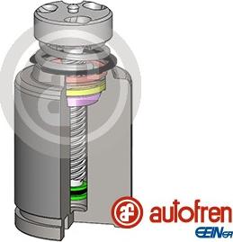 AUTOFREN SEINSA D025583LK - Klip, kočione čeljusti www.molydon.hr