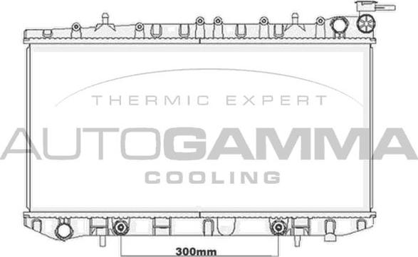 Autogamma 105653 - Hladnjak, hladjenje motora www.molydon.hr