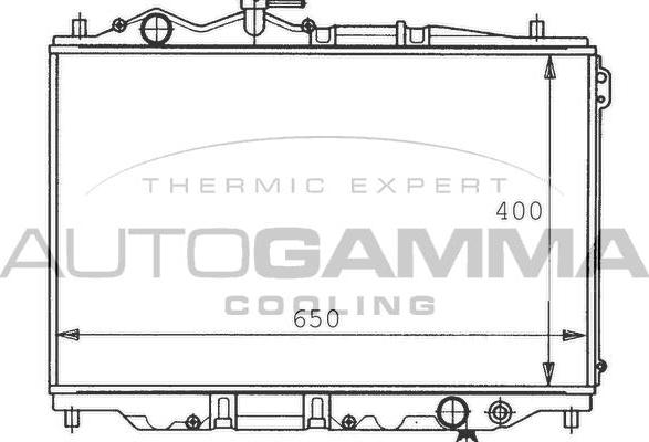 Autogamma 100498 - Hladnjak, hladjenje motora www.molydon.hr