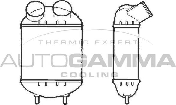 Autogamma 101476 - Intercooler, hladnjak www.molydon.hr