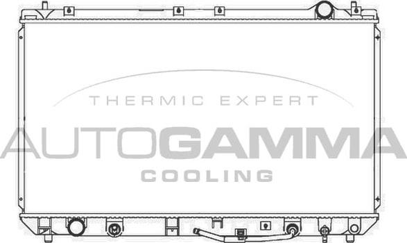 Autogamma 103851 - Hladnjak, hladjenje motora www.molydon.hr