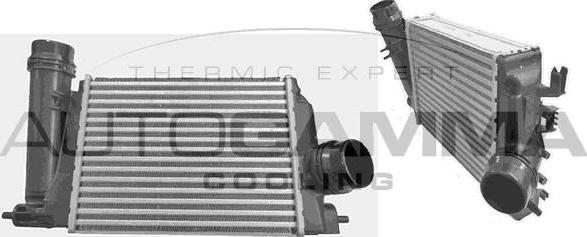 Autogamma 107432 - Intercooler, hladnjak www.molydon.hr