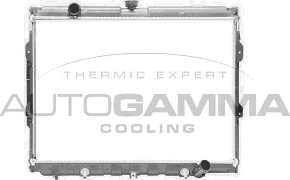 Autogamma 107310 - Hladnjak, hladjenje motora www.molydon.hr