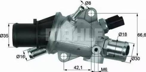 Behr TI 169 88 - Termostat, rashladna tekućinu www.molydon.hr