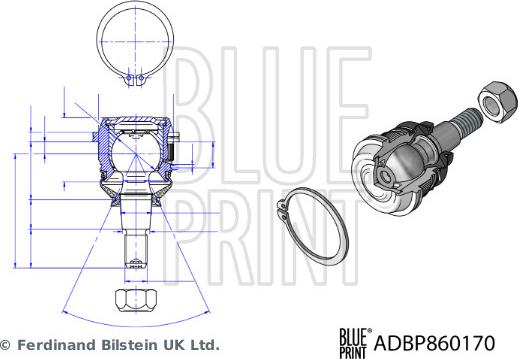 Blue Print ADBP860170 - Gornja/donja kugla www.molydon.hr