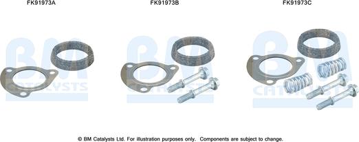 BM Catalysts FK91973 - Garnitura za montažu, katalizator www.molydon.hr