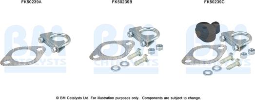 BM Catalysts FK50239 - Garnitura za montažu, Ispušna Cijev www.molydon.hr