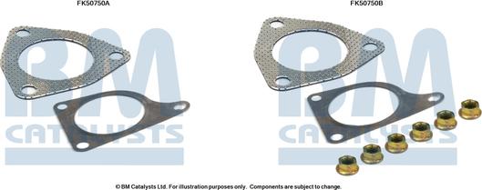 BM Catalysts FK50750 - Garnitura za montažu, Ispušna Cijev www.molydon.hr