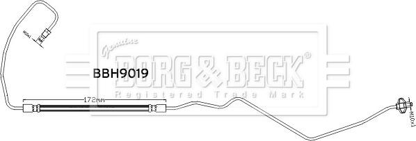 Borg & Beck BBH9019 - Kočiono crijevo, lajtung www.molydon.hr