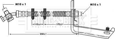 Borg & Beck BBH6805 - Kočiono crijevo, lajtung www.molydon.hr