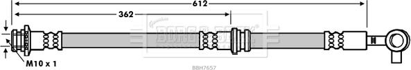 Borg & Beck BBH7657 - Kočiono crijevo, lajtung www.molydon.hr