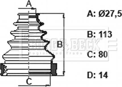 Borg & Beck BCB6393 - Manžeta, Pogonska osovina www.molydon.hr