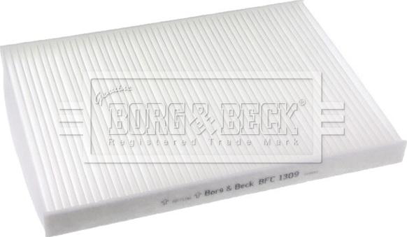 Borg & Beck BFC1309 - Filter kabine www.molydon.hr