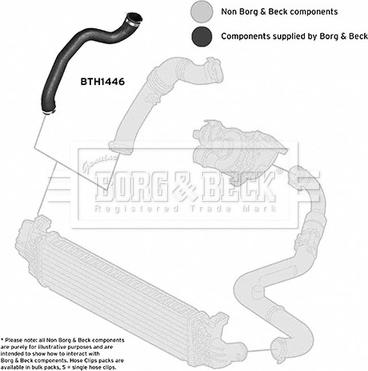 Borg & Beck BTH1446 - Crijevo interkulera www.molydon.hr