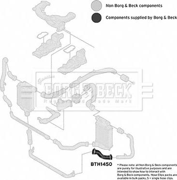 Borg & Beck BTH1450 - Crijevo interkulera www.molydon.hr