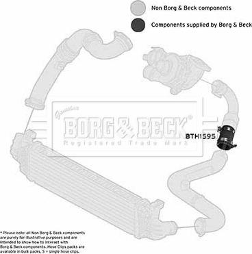 Borg & Beck BTH1595 - Crijevo interkulera www.molydon.hr