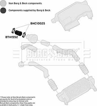 Borg & Beck BTH1552 - Crijevo interkulera www.molydon.hr