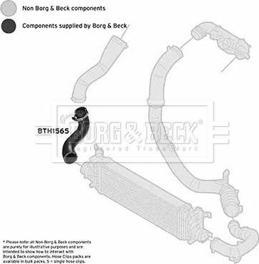 Borg & Beck BTH1565 - Crijevo interkulera www.molydon.hr