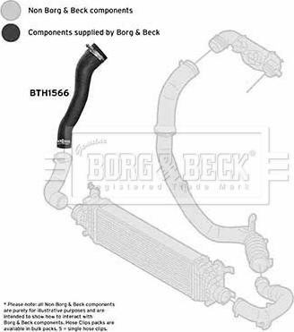 Borg & Beck BTH1566 - Crijevo interkulera www.molydon.hr