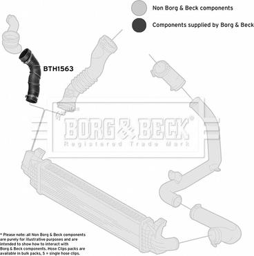 Borg & Beck BTH1563 - Crijevo interkulera www.molydon.hr