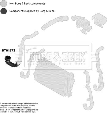 Borg & Beck BTH1573 - Crijevo interkulera www.molydon.hr