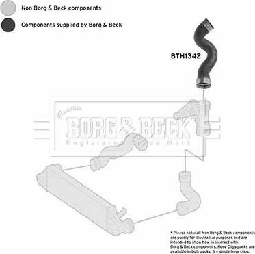 Borg & Beck BTH1342 - Crijevo interkulera www.molydon.hr
