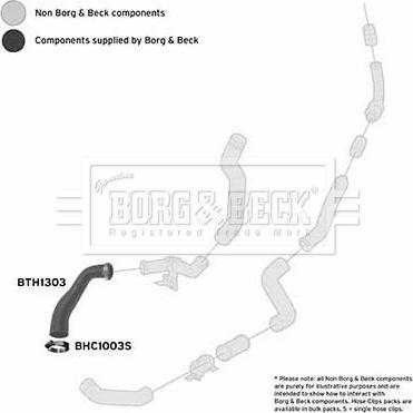 Borg & Beck BTH1303 - Crijevo interkulera www.molydon.hr