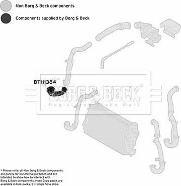 Borg & Beck BTH1384 - Crijevo interkulera www.molydon.hr