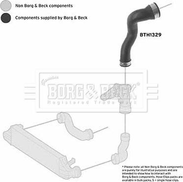 Borg & Beck BTH1329 - Crijevo interkulera www.molydon.hr