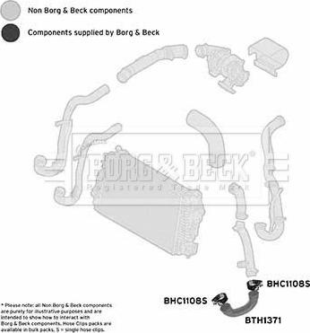 Borg & Beck BTH1371 - Crijevo interkulera www.molydon.hr