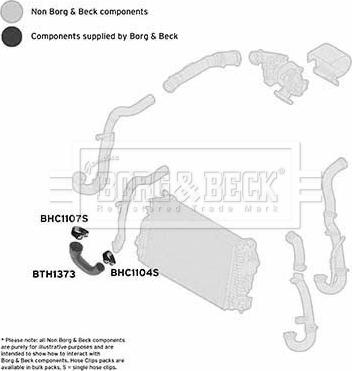 Borg & Beck BTH1373 - Crijevo interkulera www.molydon.hr