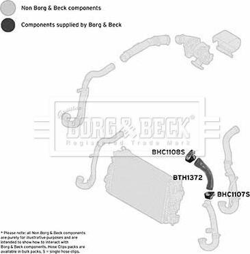 Borg & Beck BTH1372 - Crijevo interkulera www.molydon.hr