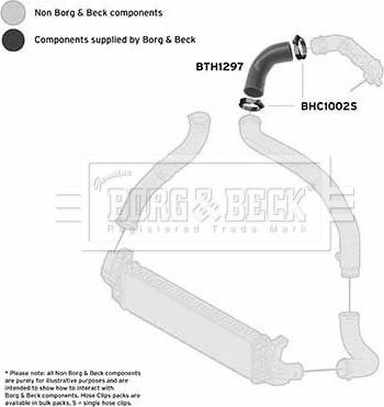 Borg & Beck BTH1297 - Crijevo interkulera www.molydon.hr