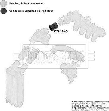 Borg & Beck BTH1248 - Crijevo interkulera www.molydon.hr