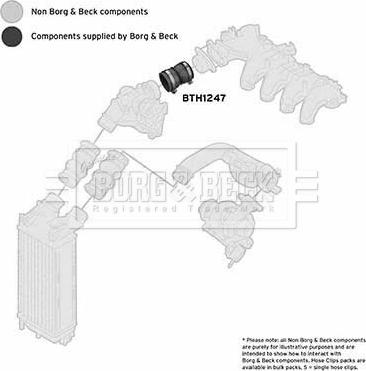 Borg & Beck BTH1247 - Crijevo interkulera www.molydon.hr