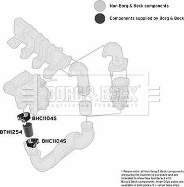 Borg & Beck BTH1254 - Crijevo interkulera www.molydon.hr