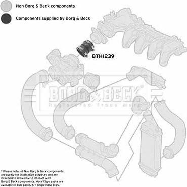 Borg & Beck BTH1239 - Crijevo interkulera www.molydon.hr