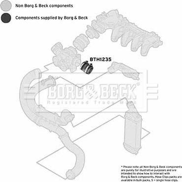 Borg & Beck BTH1235 - Crijevo interkulera www.molydon.hr