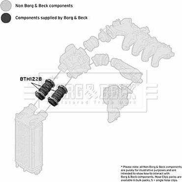 Borg & Beck BTH1228 - Crijevo interkulera www.molydon.hr