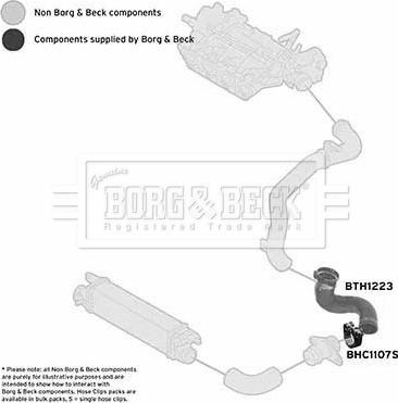 Borg & Beck BTH1223 - Crijevo interkulera www.molydon.hr