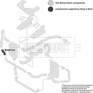 Borg & Beck BTH1719 - Crijevo interkulera www.molydon.hr