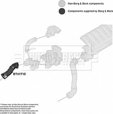 Borg & Beck BTH1710 - Crijevo interkulera www.molydon.hr