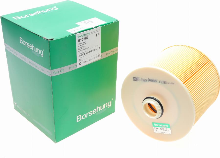 Borsehung B12807 - Filter za zrak www.molydon.hr