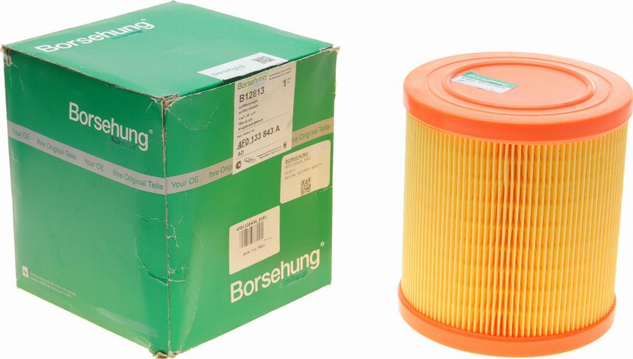 Borsehung B12813 - Filter za zrak www.molydon.hr