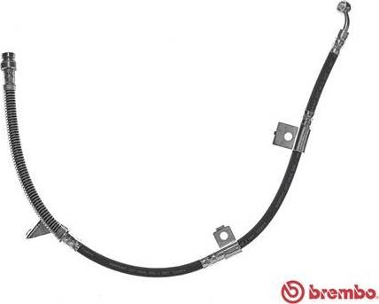 Brembo T 15 013 - Kočiono crijevo, lajtung www.molydon.hr