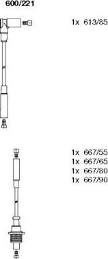 Bremi 600/221 - Set kablova za paljenje www.molydon.hr